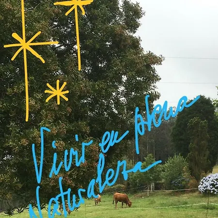 Landecoira * Sequeiro